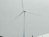 wind.jpg