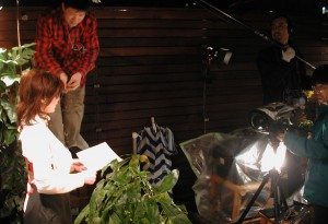 Paradise TV