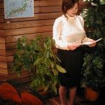 Paradise TV