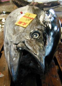tsukiji