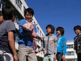 School Days with a Pig
