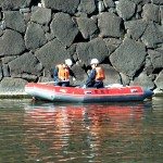 Looking for swimming foreigners
