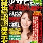 Firm demand for AV actresses' undies sold at auction
