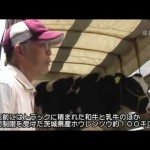 Flustered Fukushima farmers up to their ears in radioactive bullsh*t