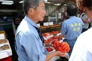 Morning market in Hakodate, Hokkaido
