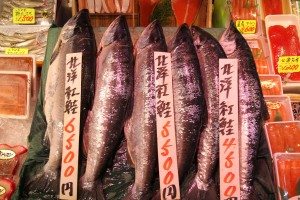 Morning market in Hakodate, Hokkaido