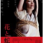 Minako Komukai asks Takeshi Kitano to direct final AV flick
