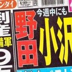Tokyo police dragnet nabs cop in drag who wagged willie at women