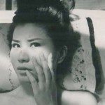 Porn legacy: A chronicle of 50 years of pink films