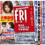 Bust of Akihabara dating club raising concerns 