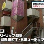 Porn actress among 11 arrested in Kabukicho strip club bust