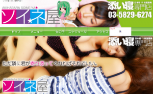 Tokyo cops raid school girl massage parlors