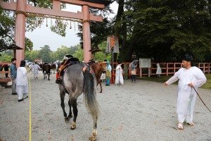 Entering the shrine's grounds