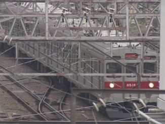 A male employee of ANA has been accused of molesting a woman inside the Denentoshi Line