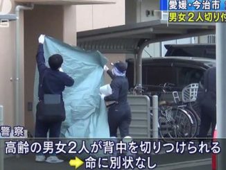 A woman stabbed two elderly persons at a residence in Imabari City