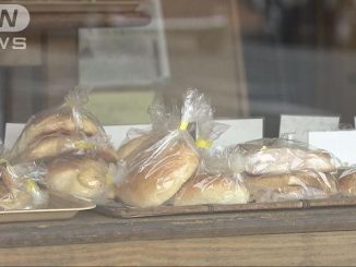 An 18-year-old boy allegedly stole bread in a bid to drop out of university
