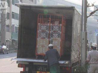 A delivery driver was crushed by a cart loaded with packages