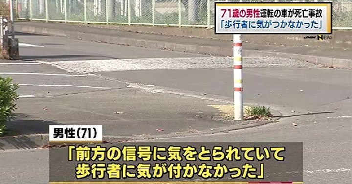 A woman was killed by an elderly driver who was distracted by a traffic light in Tokyo (TBS News)