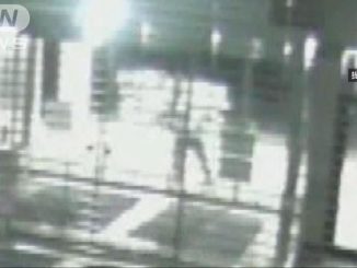 Graffiti was sprayed on government buildings in Mutsu City earlier this week