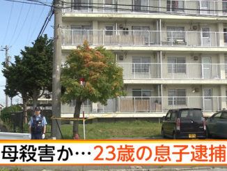 Aomori police arrested a 23-year-old man for allegedly stabbing his mother to death at the residence they shared in Goshogawara City on Wednesday