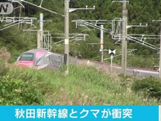 A bullet train collided with a bear in Akita Prefecture