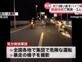 Bosozoku biker gang in Kanagawa