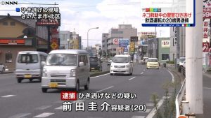 A car driven by Keisuke Maeda struck and injured two police officers who were trying to save a cat