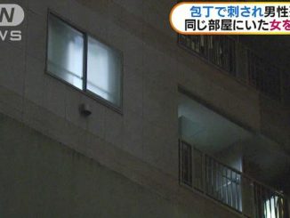 Chiyoda Ward apartment