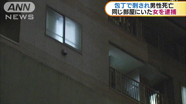 Chiyoda Ward apartment