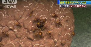 A stirred hornet's nest resulted in 115 marathon participants being stung in Gifu Prefecture