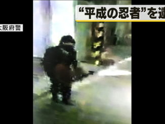 "Heisei Ninja"
