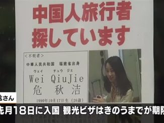 Wei Qiujie