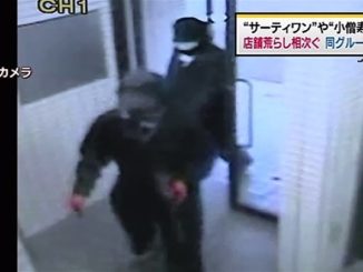 Police suspect the same persons are behind a rash of break-ins at ice cream parlors across the capital that have taken place in recent weeks