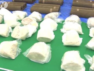 Police have seized 230 kilograms of stimulant drugs smuggled inside metal containers at the Port of Yokohama
