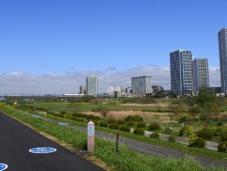 A woman's corpse was found floating in the Tama River in Takatsu Ward in Kawasaki City on Monday