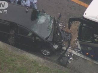 Hyogo police are investigating a crash involving a bus and car that left one person dead and 10 injured on Monday
