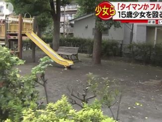 Two teenage girls assaulted a female classmate at a park in Koganei City in July