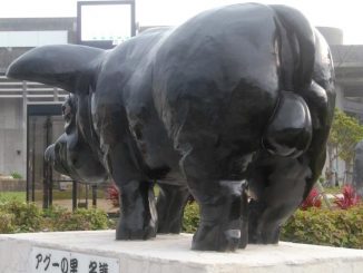 A city councilwoman has lodged a complaint over a statue of a pig at the city hall that explicitly shows its testicles