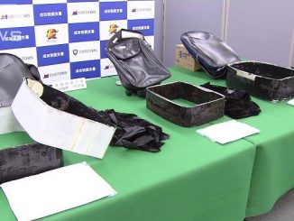 Police have accused two male British nationals in the smuggling more than 300 million yen in stimulant drugs through Narita International Airport