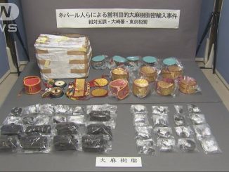 Police have accused a Nepalese man and woman of attempting to smuggle marijuana inside a traditional drum
