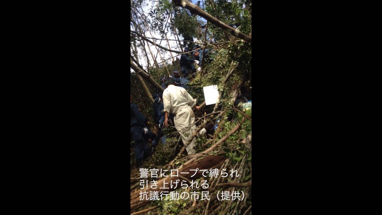 Okinawa Prefectural Police tie up protesters at a logging site on U.S. military grounds in Okinawa Prefecture on Wednesday (YouTube)