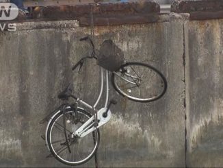 A man died after he plunged into Naha Port during a chase by police on Tuesday morning