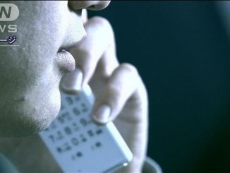 The number of "special fraud" cases rose dramatically nationwide over the first half of the year