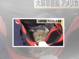 American national sent 1 kilogram of marijuana from Los Angeles to Osaka through the postal mail