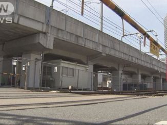 An elderly woman was hit and killed by a train after tripping at a crossing in Sumida Ward on Monday