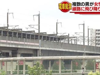 Saitama police
