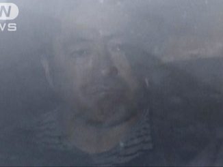 Mitsuhide Fujiyama