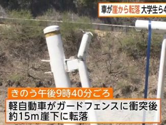 A car carrying four teenage boys plunged off a cliff in Chichibu City on Saturday
