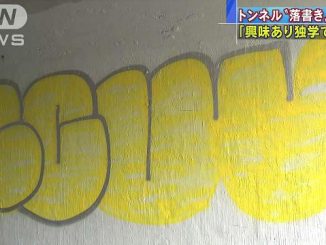 A Taiwanese man allegedly sprayed graffiti inside a tunnel in Tokyo