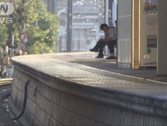 Tokyo police have arrested a boy, 15, ordering a male classmate to eat insects and dog feces at a train station and other locations in Nishi Tokyo City